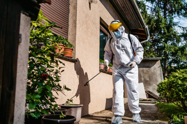 Best Wasp Removal Services  in Versailles, MO
