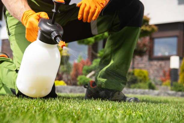 Best Mosquito Control Services  in Versailles, MO