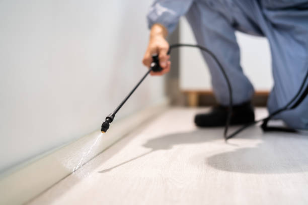 Pest Control Cost in Versailles, MO