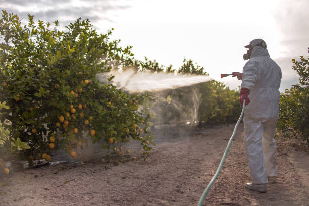 Professional Pest Control in Versailles, MO