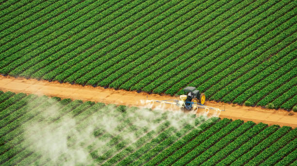Best Local Pest Control Services  in Versailles, MO