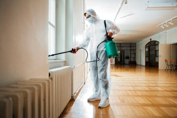 Best Wasp Removal Services  in Versailles, MO
