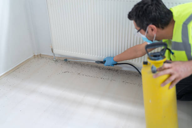 Best Exterminator Services  in Versailles, MO