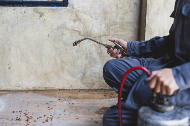 Best Exterminator Services  in Versailles, MO