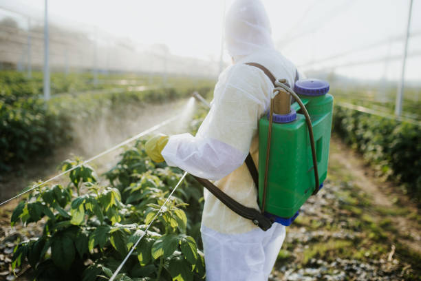 Best Pest Control Cost  in Versailles, MO